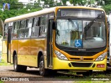 Ônibus Particulares 280672 na cidade de Samambaia, Distrito Federal, Brasil, por Pedro Andrade. Número da foto: #:id.