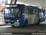 Transportes Capellini 19.221 na cidade de Americana, São Paulo, Brasil, por Fernando Félix Ferreira Lima. Número da foto: #12742899.