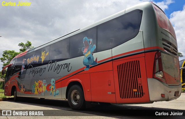 Empresa de Ônibus Pássaro Marron 6006 na cidade de São Paulo, São Paulo, Brasil, por Carlos Júnior. Número da foto: #12745984.