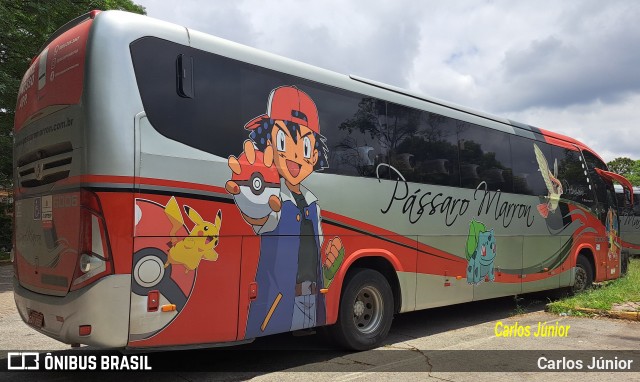 Empresa de Ônibus Pássaro Marron 6006 na cidade de São Paulo, São Paulo, Brasil, por Carlos Júnior. Número da foto: #12745980.