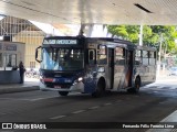 Transportes Capellini 19.186 na cidade de Americana, São Paulo, Brasil, por Fernando Félix Ferreira Lima. Número da foto: #12744349.