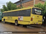Lions Tur 9080 na cidade de Rondonópolis, Mato Grosso, Brasil, por Públio Araujo. Número da foto: #12744586.