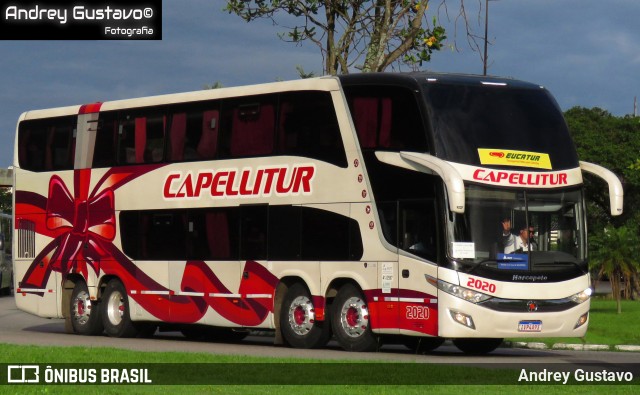 Capellitur 2020 na cidade de Florianópolis, Santa Catarina, Brasil, por Andrey Gustavo. Número da foto: #12748403.