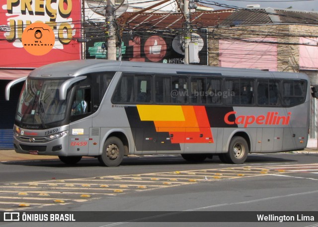 Transportes Capellini 13459 na cidade de Americana, São Paulo, Brasil, por Wellington Lima. Número da foto: #12747161.