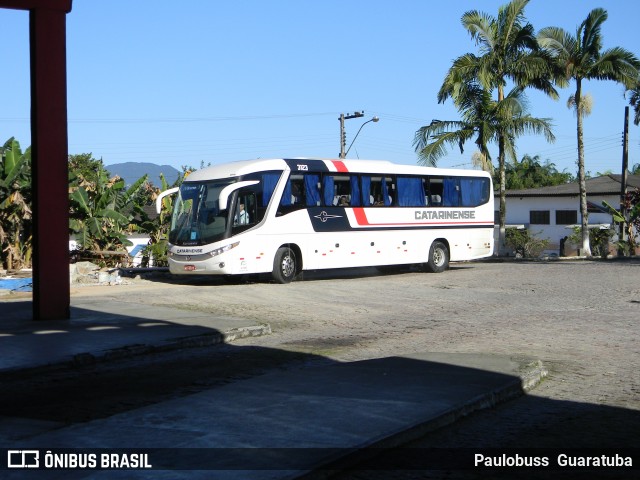 Auto Viação Catarinense 3123 na cidade de Garuva, Santa Catarina, Brasil, por Paulobuss  Guaratuba. Número da foto: #12747958.