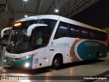 Viação Goiânia 31207 na cidade de Brasília, Distrito Federal, Brasil, por Clemilton Rodrigues . Número da foto: #:id.