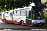 Expresso Adamantina 167102 na cidade de São Carlos, São Paulo, Brasil, por Paulo Henrique Pereira Borges. Número da foto: #12748891.