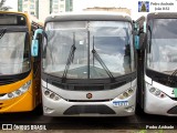 Viação Cruzeiro 531 na cidade de Samambaia, Distrito Federal, Brasil, por Pedro Andrade. Número da foto: #12747287.