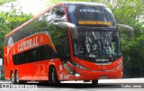 Catedral Turismo 24405 na cidade de São Paulo, São Paulo, Brasil, por Carlos Júnior. Número da foto: #:id.