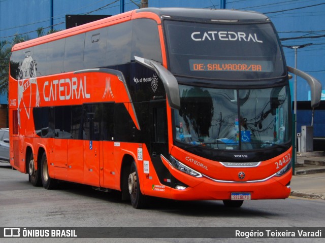 Catedral Turismo 24422 na cidade de São Paulo, São Paulo, Brasil, por Rogério Teixeira Varadi. Número da foto: #12697151.