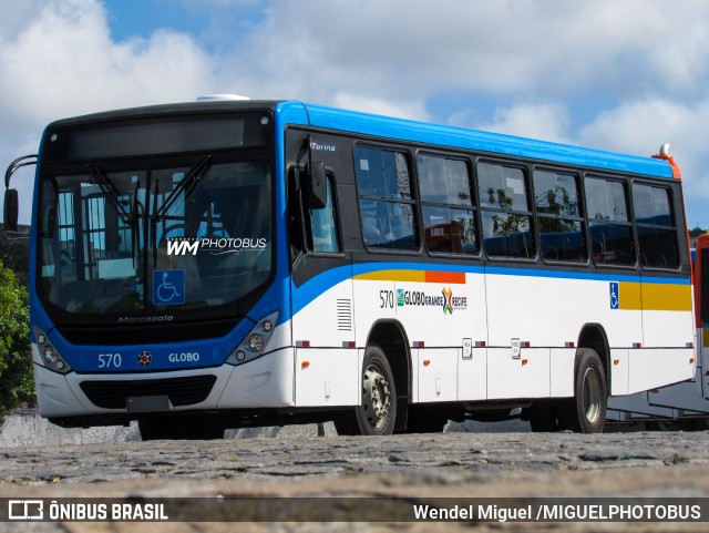 Transportadora Globo 570 na cidade de Recife, Pernambuco, Brasil, por Wendel Miguel /MIGUELPHOTOBUS. Número da foto: #12695760.