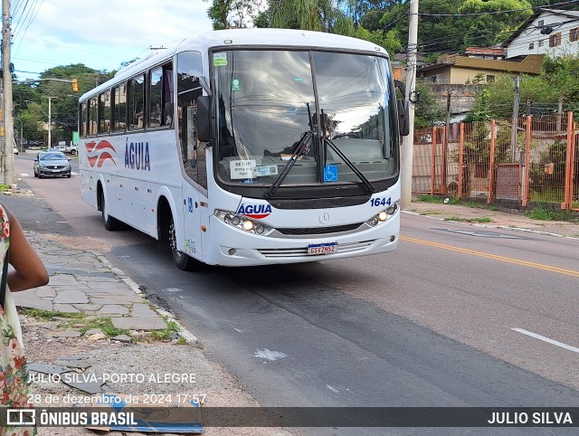 Águia 1644 na cidade de Porto Alegre, Rio Grande do Sul, Brasil, por JULIO SILVA. Número da foto: #12696686.