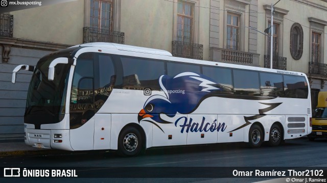 Autobuses Halcón de Huixtepec 1001 na cidade de Cuauhtémoc, Ciudad de México, México, por Omar Ramírez Thor2102. Número da foto: #12695776.
