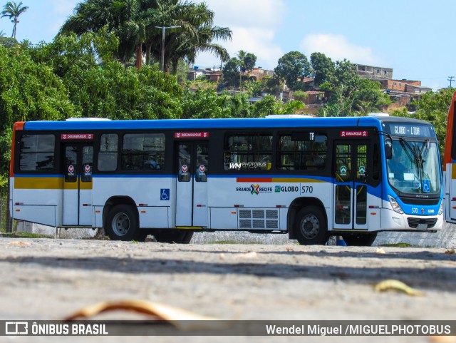 Transportadora Globo 570 na cidade de Recife, Pernambuco, Brasil, por Wendel Miguel /MIGUELPHOTOBUS. Número da foto: #12695758.