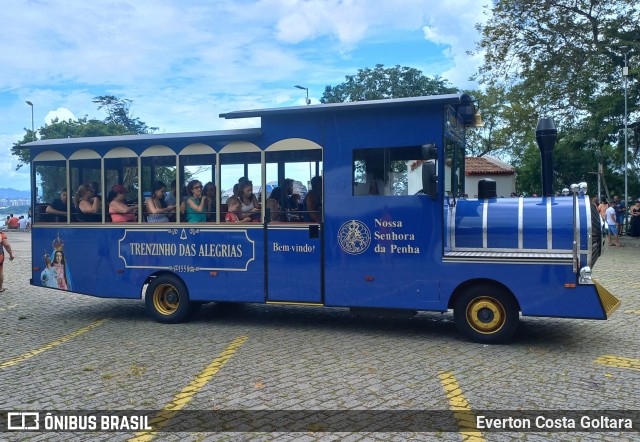 Transfaller Transportes 1558 - AZUL na cidade de Vila Velha, Espírito Santo, Brasil, por Everton Costa Goltara. Número da foto: #12696611.
