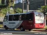 Rouxinol 1625 na cidade de Belo Horizonte, Minas Gerais, Brasil, por Douglas Célio Brandao. Número da foto: #:id.