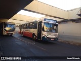 Ribe Transporte 1830 na cidade de Ribeirão Preto, São Paulo, Brasil, por Jonas Miranda. Número da foto: #12696300.