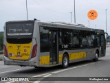 Viação Metrópole Paulista - Zona Leste 3 1043 na cidade de São Paulo, São Paulo, Brasil, por Wellington Lima. Número da foto: #12696999.