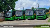 Transportes Capellini 32539 na cidade de Paulínia, São Paulo, Brasil, por Allan Henrique. Número da foto: #12751584.