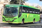 Pássaro Verde 20181 na cidade de Belo Horizonte, Minas Gerais, Brasil, por Paulo Henrique Pereira Borges. Número da foto: #12751328.