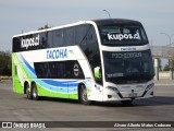Tacoha 180 na cidade de San Bernardo, Maipo, Metropolitana de Santiago, Chile, por Alvaro Alberto Matus Codoceo. Número da foto: #12752328.