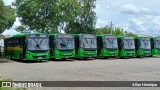 Transportes Capellini 32537 na cidade de Paulínia, São Paulo, Brasil, por Allan Henrique. Número da foto: #12751589.