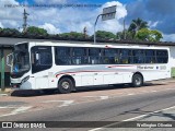 Auto Ônibus Moratense 800 na cidade de Campo Limpo Paulista, São Paulo, Brasil, por Wellington Oliveira. Número da foto: #:id.