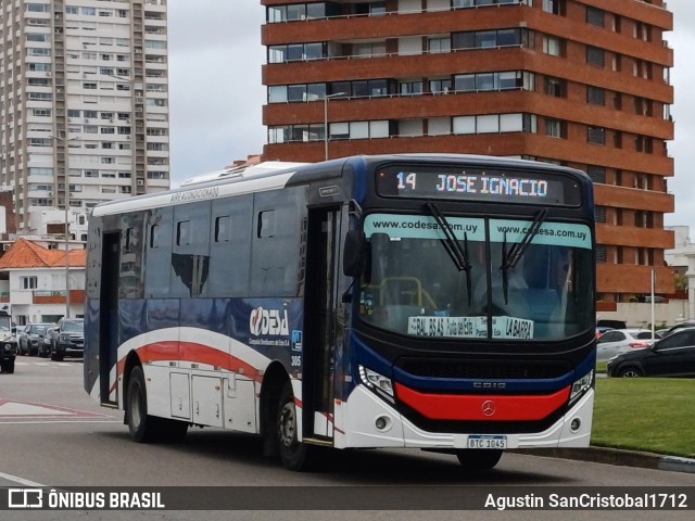 CODESA - Compañia Omnibuseira del Este 305 na cidade de Punta del Este, Maldonado, Uruguai, por Agustin SanCristobal1712. Número da foto: #12754956.