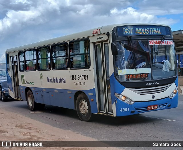 Via Loc BJ-91701 na cidade de Ananindeua, Pará, Brasil, por Samara Goes. Número da foto: #12754055.