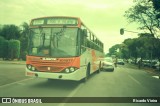 Viva Brasília - Viação Valmir Amaral 101877 na cidade de Brasília, Distrito Federal, Brasil, por Ricardo Vieira. Número da foto: #12753578.