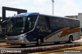 Trentini 6229 na cidade de Teutônia, Rio Grande do Sul, Brasil, por Rainer Schumacher. Número da foto: #12753138.