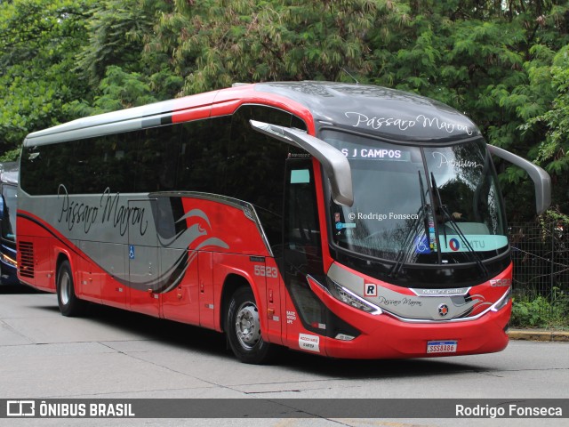 Empresa de Ônibus Pássaro Marron 5523 na cidade de São Paulo, São Paulo, Brasil, por Rodrigo Fonseca. Número da foto: #12756226.