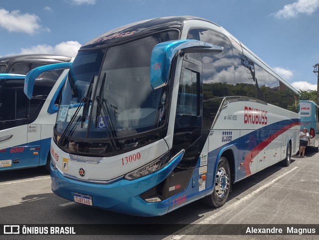 Brubuss Transportes 13000 na cidade de Barueri, São Paulo, Brasil, por Alexandre Magnus. Número da foto: #12756358.