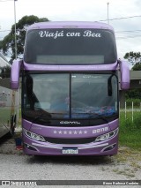 Viajá con Bea 88118 na cidade de Florianópolis, Santa Catarina, Brasil, por Bruno Barbosa Cordeiro. Número da foto: #:id.