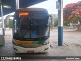 Empresa Gontijo de Transportes 19535 na cidade de Garanhuns, Pernambuco, Brasil, por Vinicius Palone. Número da foto: #12757515.