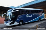 Citral Transporte e Turismo 909 na cidade de Porto Alegre, Rio Grande do Sul, Brasil, por Rodrigo Matheus. Número da foto: #:id.
