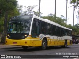 Companhia Carris Porto-Alegrense 0219 na cidade de Porto Alegre, Rio Grande do Sul, Brasil, por Rodrigo Koscolka. Número da foto: #12755886.