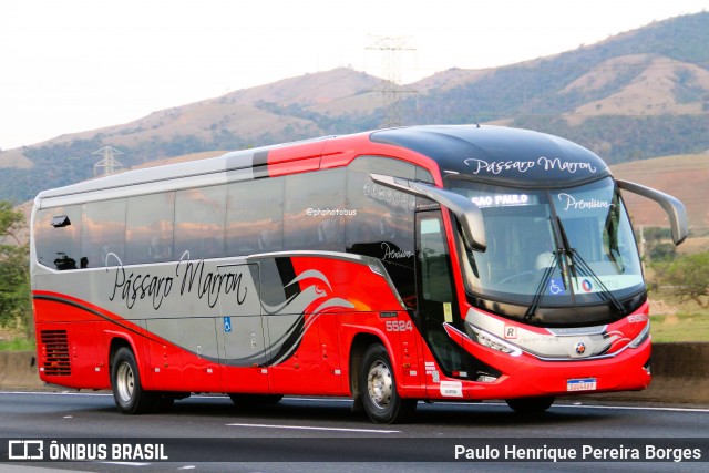 Empresa de Ônibus Pássaro Marron 5524 na cidade de Roseira, São Paulo, Brasil, por Paulo Henrique Pereira Borges. Número da foto: #12760230.