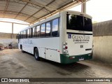 Viação GuanTur 800 na cidade de Baixo Guandu, Espírito Santo, Brasil, por Lucas Andrade Littig. Número da foto: #12760819.
