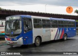 Transportes Capellini 12016 na cidade de Cosmópolis, São Paulo, Brasil, por Wellington Lima. Número da foto: #12761162.