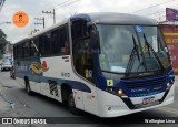 Piccolotur Transportes Turísticos 13300 na cidade de Guarulhos, São Paulo, Brasil, por Wellington Lima. Número da foto: #12761180.