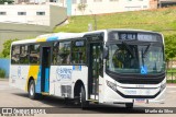 American Vans Transportes e Turismo 2501 na cidade de Porto Feliz, São Paulo, Brasil, por Murilo da Silva. Número da foto: #12760213.