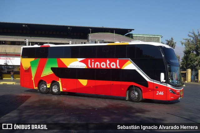 Buses Linatal 246 na cidade de Estación Central, Santiago, Metropolitana de Santiago, Chile, por Sebastián Ignacio Alvarado Herrera. Número da foto: #12763906.
