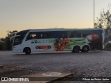 Eucatur - Empresa União Cascavel de Transportes e Turismo 4939 na cidade de Americana, São Paulo, Brasil, por Gilson de Souza Junior. Número da foto: #:id.