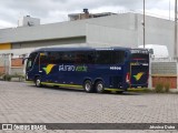 Pássaro Verde 16905 na cidade de Divinópolis, Minas Gerais, Brasil, por Jéssica Dutra. Número da foto: #:id.