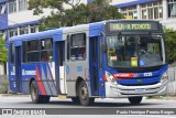 Viação Sul Fluminense 1228 na cidade de Volta Redonda, Rio de Janeiro, Brasil, por Paulo Henrique Pereira Borges. Número da foto: #12762100.