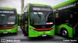 Express Transportes Urbanos Ltda 4 8955 na cidade de São Paulo, São Paulo, Brasil, por Roberto Teixeira. Número da foto: #12762792.