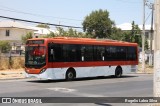 STU Santiago Transporte Urbano PFYC42 na cidade de Macul, Santiago, Metropolitana de Santiago, Chile, por Rogelio Labra Silva. Número da foto: #12764259.