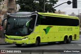Pássaro Verde 24185 na cidade de Belo Horizonte, Minas Gerais, Brasil, por Matheus Henrique. Número da foto: #12765436.