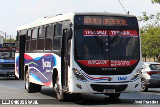 Ypacarai Transporte S.A. - Línea 242 1667 na cidade de Luque, Central, Paraguai, por José Paredes. Número da foto: #12767613.